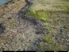 <no image>